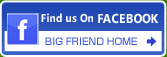 BIG FRIEND facebook